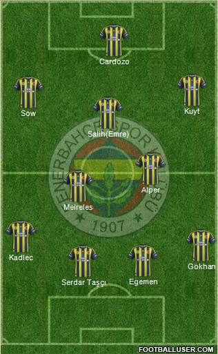 Fenerbahçe SK Formation 2013
