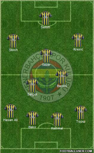 Fenerbahçe SK Formation 2013