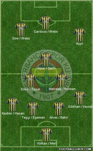 Fenerbahçe SK Formation 2013
