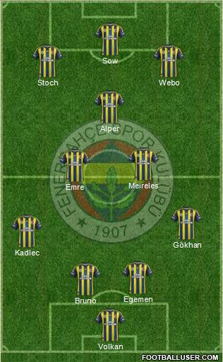 Fenerbahçe SK Formation 2013