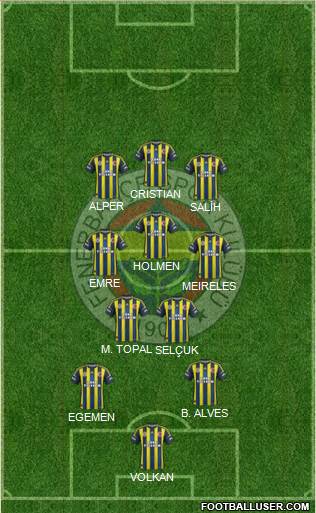 Fenerbahçe SK Formation 2013