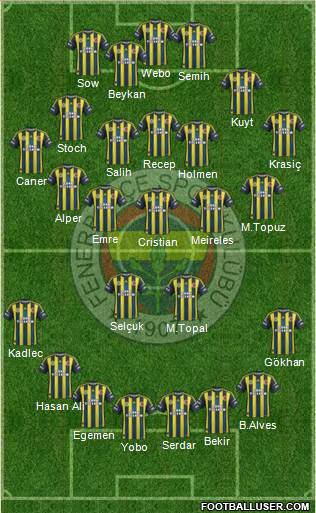 Fenerbahçe SK Formation 2013