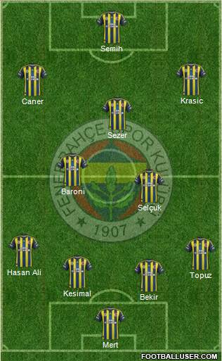 Fenerbahçe SK Formation 2013