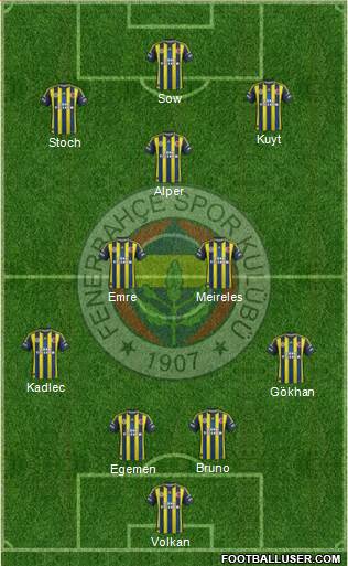 Fenerbahçe SK Formation 2013
