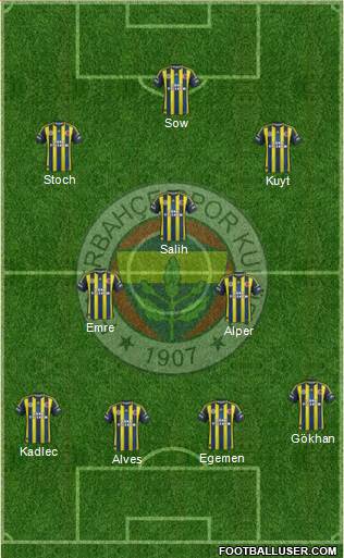 Fenerbahçe SK Formation 2013