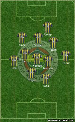 Fenerbahçe SK Formation 2013