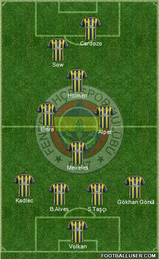 Fenerbahçe SK Formation 2013