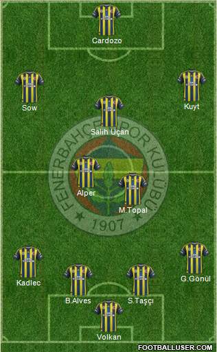 Fenerbahçe SK Formation 2013