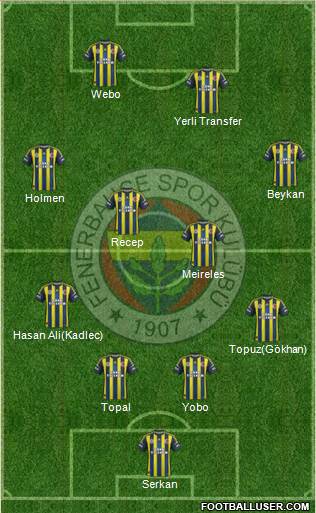 Fenerbahçe SK Formation 2013