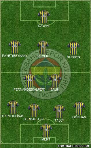 Fenerbahçe SK Formation 2013