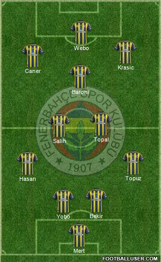 Fenerbahçe SK Formation 2013