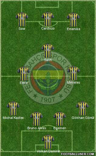Fenerbahçe SK Formation 2013