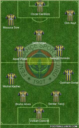 Fenerbahçe SK Formation 2013