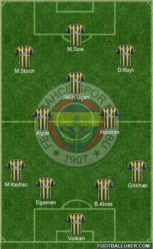 Fenerbahçe SK Formation 2013