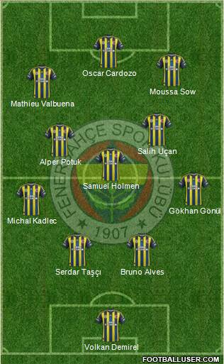 Fenerbahçe SK Formation 2013