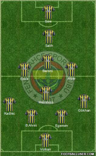 Fenerbahçe SK Formation 2013