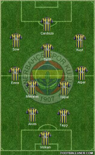 Fenerbahçe SK Formation 2013