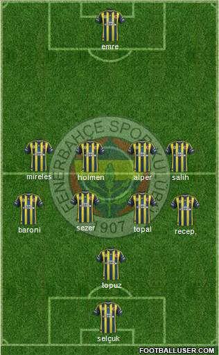Fenerbahçe SK Formation 2013