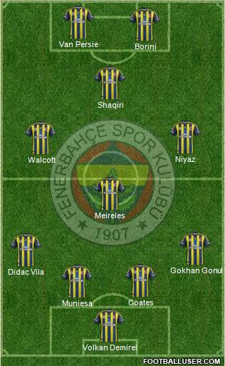 Fenerbahçe SK Formation 2013