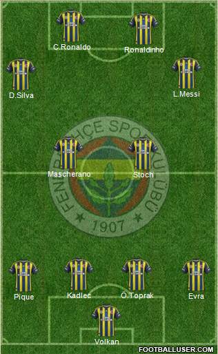 Fenerbahçe SK Formation 2013