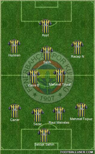 Fenerbahçe SK Formation 2013