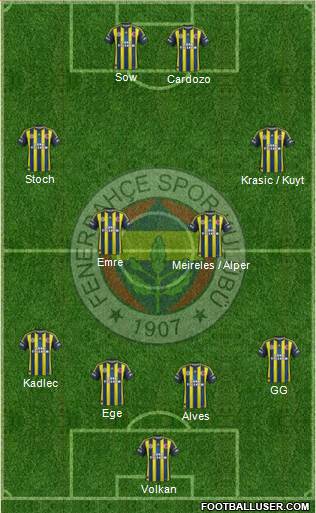 Fenerbahçe SK Formation 2013
