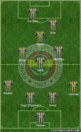 Fenerbahçe SK Formation 2013