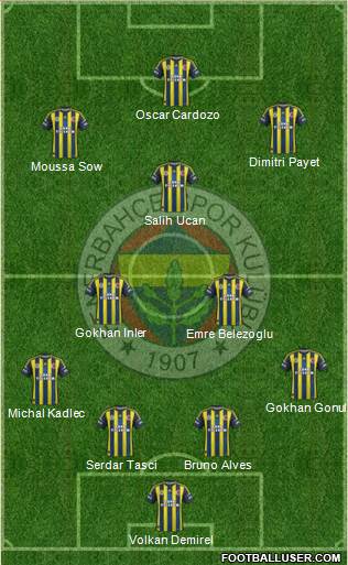 Fenerbahçe SK Formation 2013