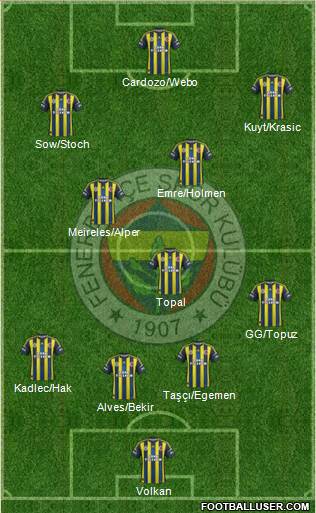Fenerbahçe SK Formation 2013