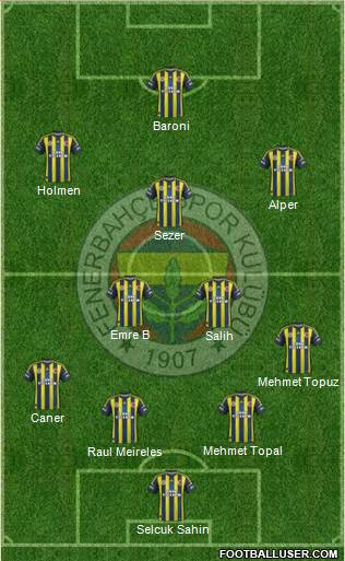 Fenerbahçe SK Formation 2013