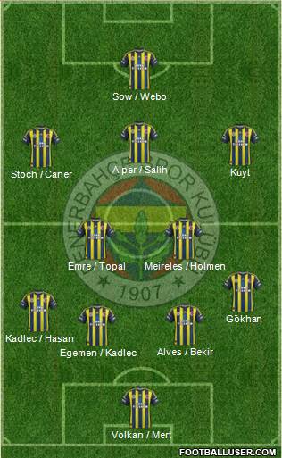 Fenerbahçe SK Formation 2013