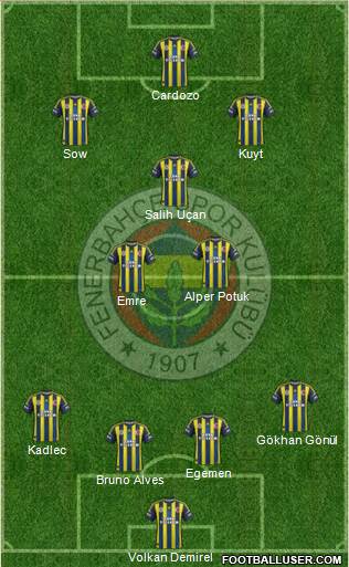 Fenerbahçe SK Formation 2013