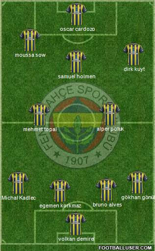 Fenerbahçe SK Formation 2013