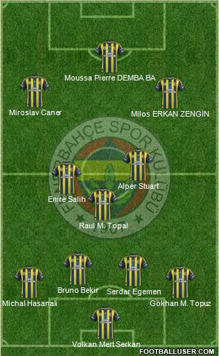 Fenerbahçe SK Formation 2013