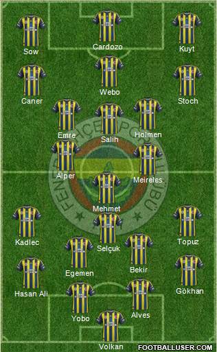 Fenerbahçe SK Formation 2013