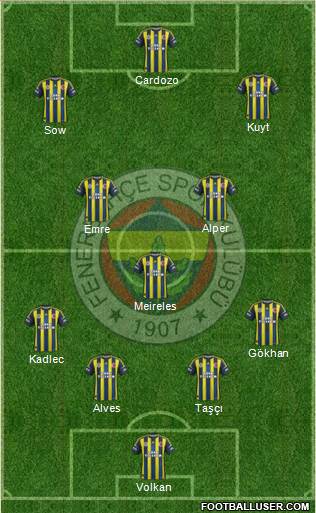 Fenerbahçe SK Formation 2013