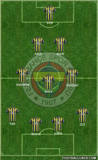 Fenerbahçe SK Formation 2013