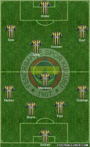 Fenerbahçe SK Formation 2013