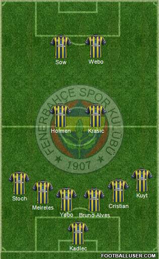 Fenerbahçe SK Formation 2013