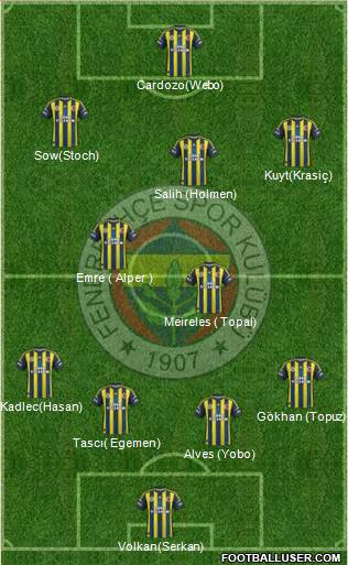 Fenerbahçe SK Formation 2013