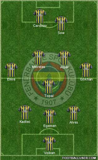Fenerbahçe SK Formation 2013