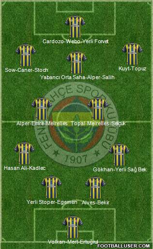 Fenerbahçe SK Formation 2013