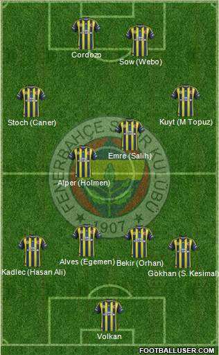 Fenerbahçe SK Formation 2013