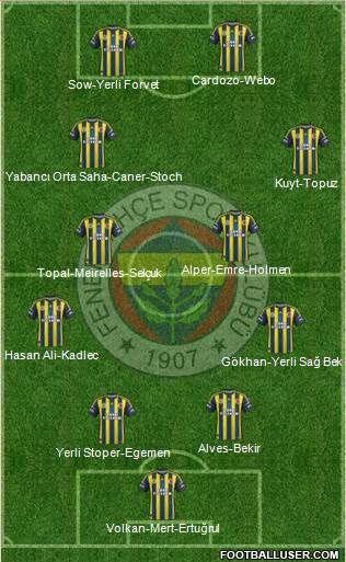 Fenerbahçe SK Formation 2013