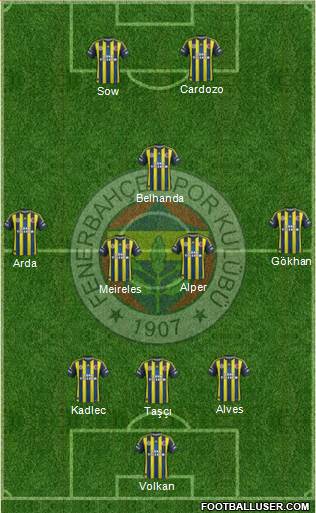 Fenerbahçe SK Formation 2013