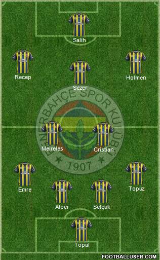 Fenerbahçe SK Formation 2013