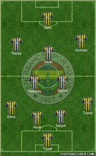 Fenerbahçe SK Formation 2013