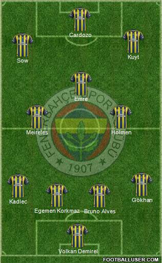 Fenerbahçe SK Formation 2013