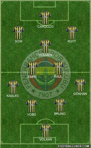 Fenerbahçe SK Formation 2013