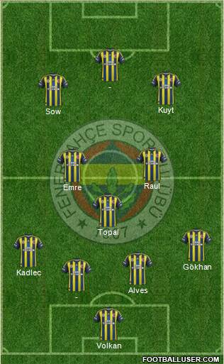 Fenerbahçe SK Formation 2013